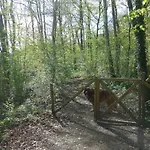 Woodhouse Nr. 141 בית נופש