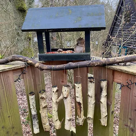 Woodhouse Nr. 141 * Durbuy