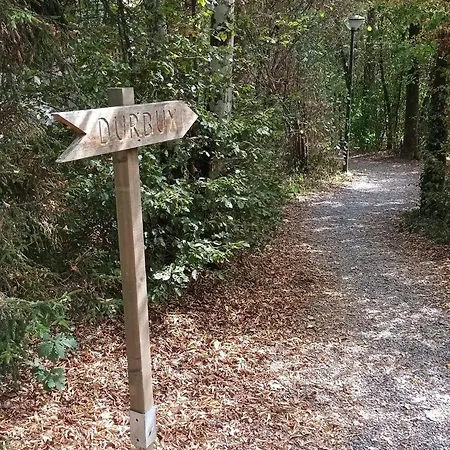 Feriehus Woodhouse Nr. 141 Durbuy