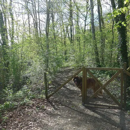 Woodhouse Nr. 141 Feriehus