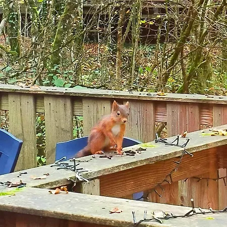 Woodhouse Nr. 141 Prázdninový dům