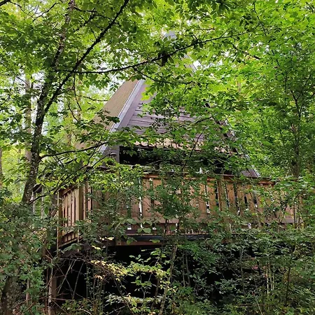 Woodhouse Nr. 141 펜션 *