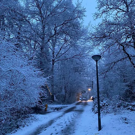 Woodhouse Nr. 141 Feriehus *