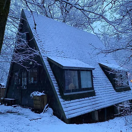 Woodhouse Nr. 141 *
