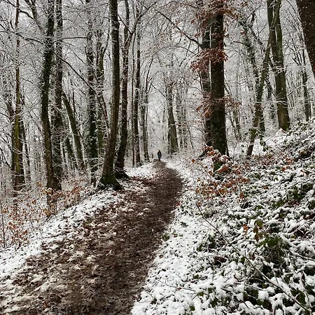 Woodhouse Nr. 141 Prázdninový dům Durbuy