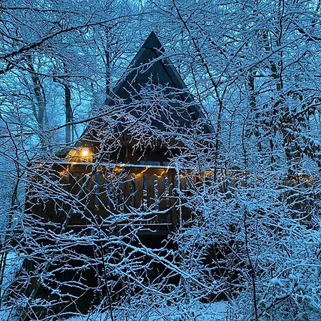 Woodhouse Nr. 141 *