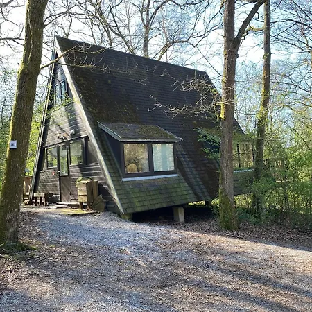 Woodhouse Nr. 141 더뷔
